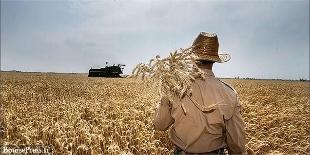 مزایای عرضه گندم در بورس کالا اعلام شد