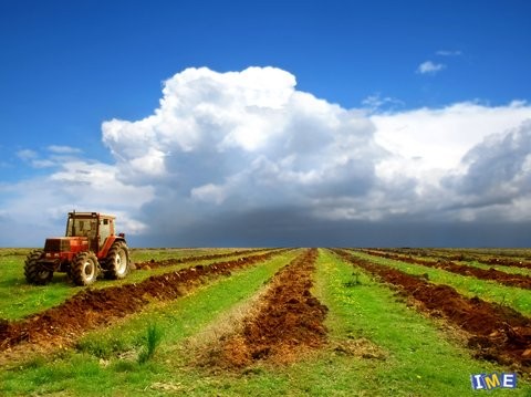 عرضه بیش از ۴۶ هزار تن محصول در تالار محصولات کشاورزی