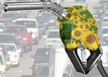 نتایج آزمایش بنزین های تولیدی در کشور اعلام شد