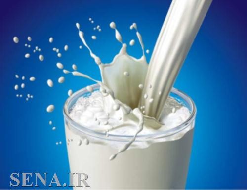 عرضه شیرخام در رینگ کشاورزی بورس کالا باعث شفافیت قیمت است