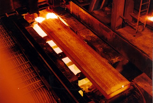 ایران برای توسعه صنعت فولاد بسیار خوش‌شانس است
