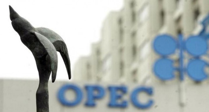 احتمال کاهش اختلافهای داخلی اوپک در پی افزایش قیمت نفت