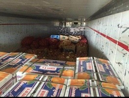 پرونده ای درباره خرید و فروش میوه‌های قاچاق /حجم قاچاق میوه دقیقا چقدراست؟