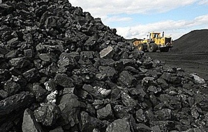 واردات زغال سنگ متوقف شود