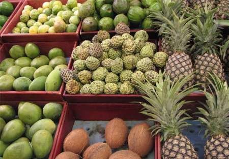 فیلم واردات قاچاق میوه به دولت تقدیم می شود/واردات مجاز فقط میوه های گرمسیری