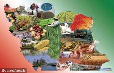 رشد ۱۵.۴درصدی تولیدات کشاورزی در دولت یازدهم