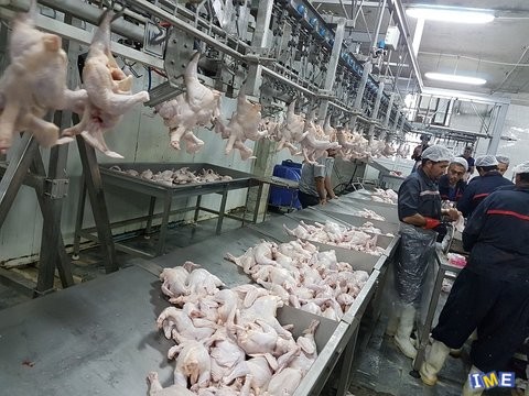مزایای قیمت گذاری گوشت مرغ در بورس کالا