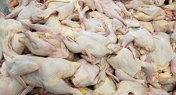 توزیع مرغ بدون کدرهگیری ممنوع شد