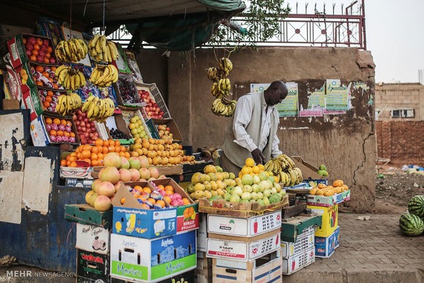 افزایش کیفیت میوه‌های تنظیم بازاری/ پرتقال ارزان شد
