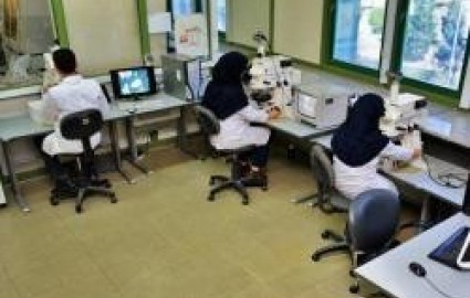 رشد ۱۵ درصدی پروژه های مرکز تحقیقات فرآوری مواد معدنی ایران