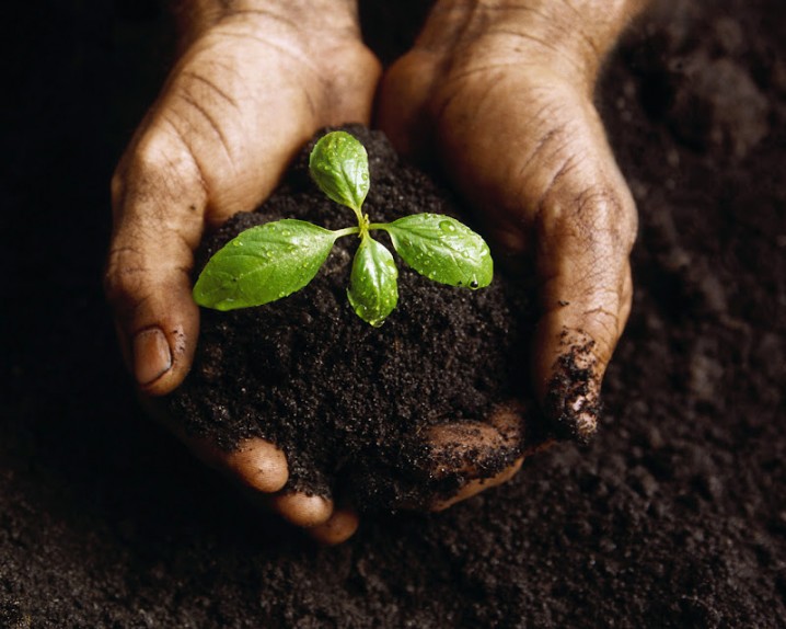 حفظ رطوبت خاک، راه نجات کشاورزی