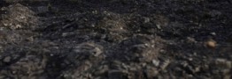 صدور دستور قطع ارز مبادلاتی برای واردات انواع ذغال سنگ
