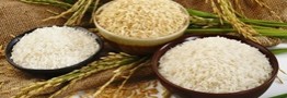 شوخی با برنج های شور مازندرانی/ماجرای خرده برنج های با کیفیت چیست؟