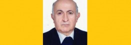 روش‌های مختلف تولید صنعتی گندله در ایران و جهان | دکتر سید تقی نعیمی